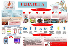 Профилактика вирусного гепатита "А" Профилактика вирусного гепатита "А".